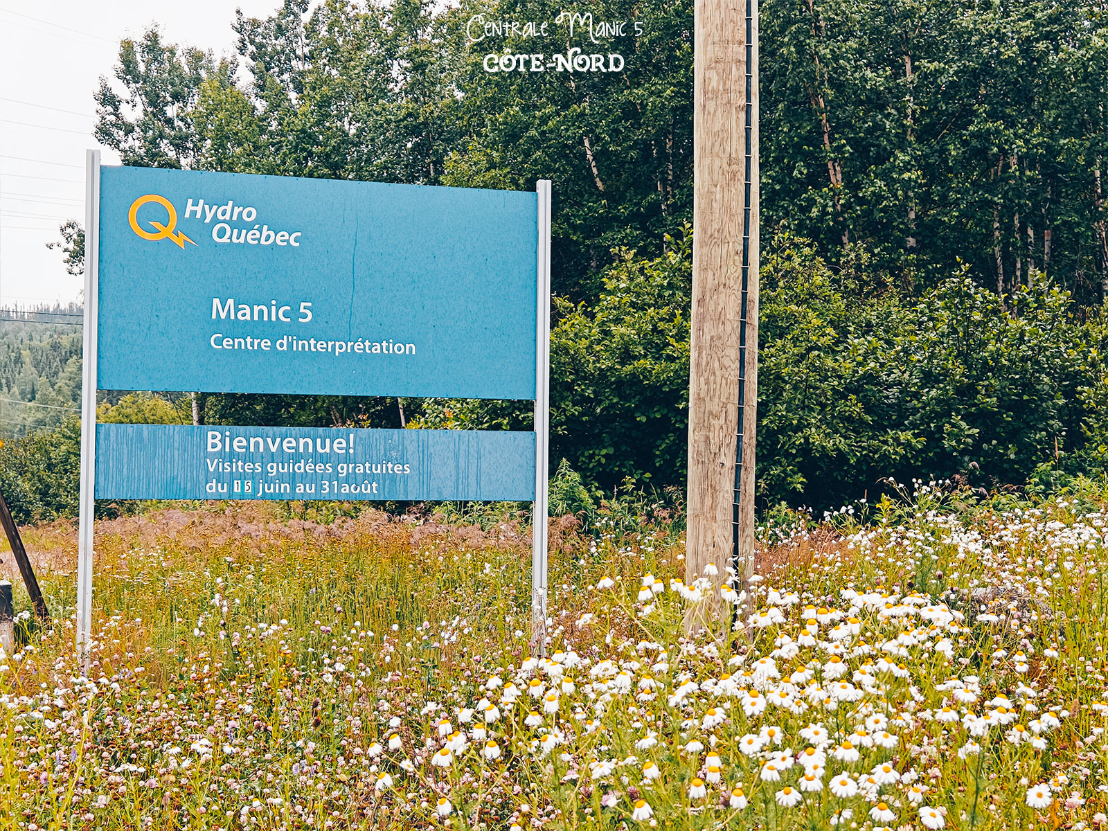 Panneau bleu Hydro-Québec Manic 5 et son centre d'interprétation, dressé dans un champ de marguerites