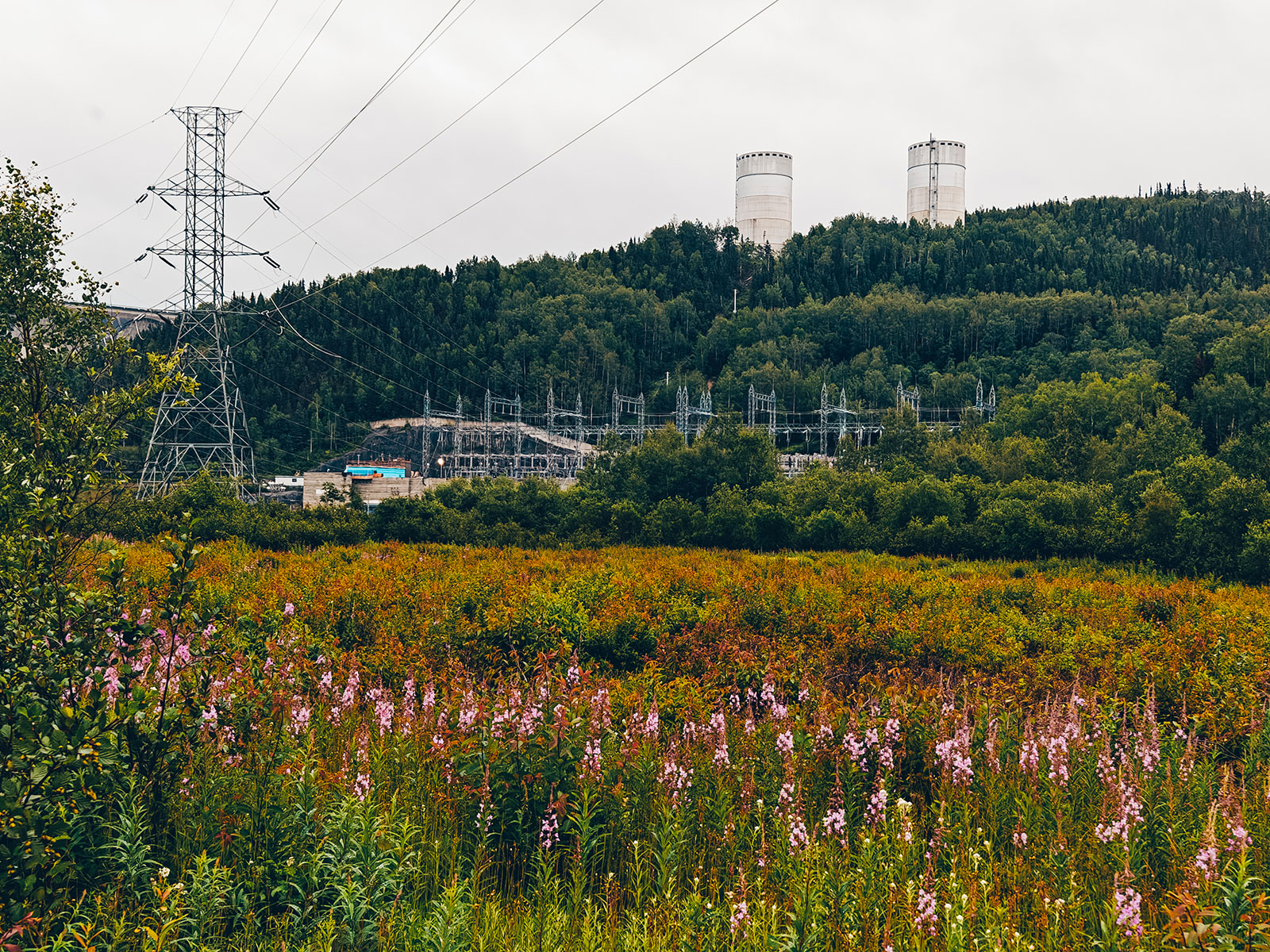 Champ d'épilobes roses devant le poste électrique et deux tours cylindriques blanches