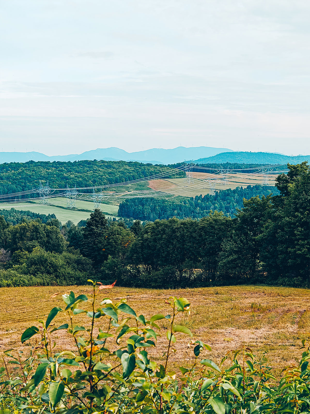 Vue en hauteur sur des champs, une forêt, des pylônes électriques et des collines bleutées