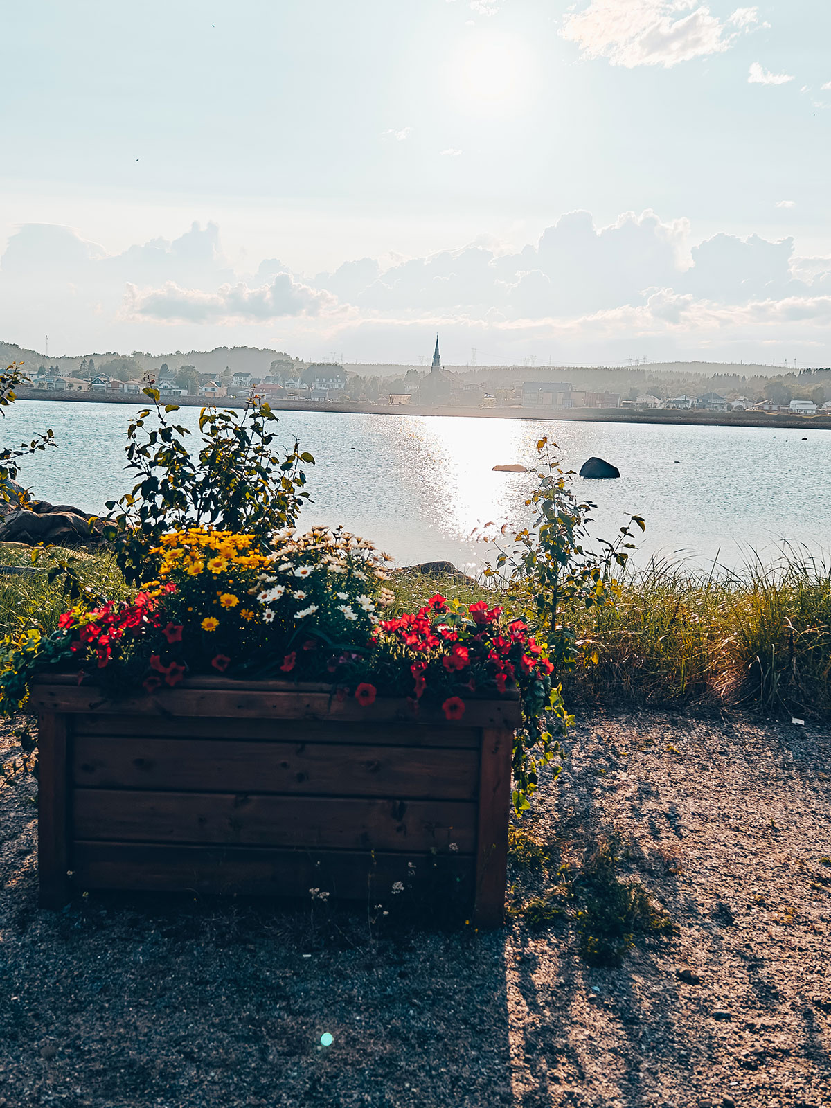 Une jardinière fleurie devant le fleuve et un clocher au loin