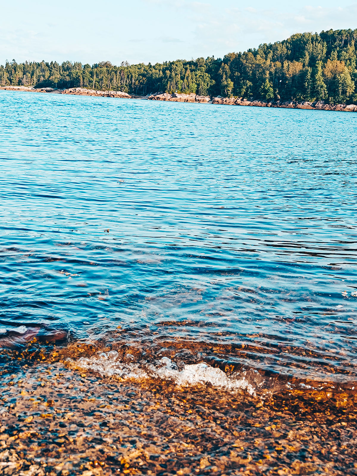 L’eau claire sur les galets, tout au bord
