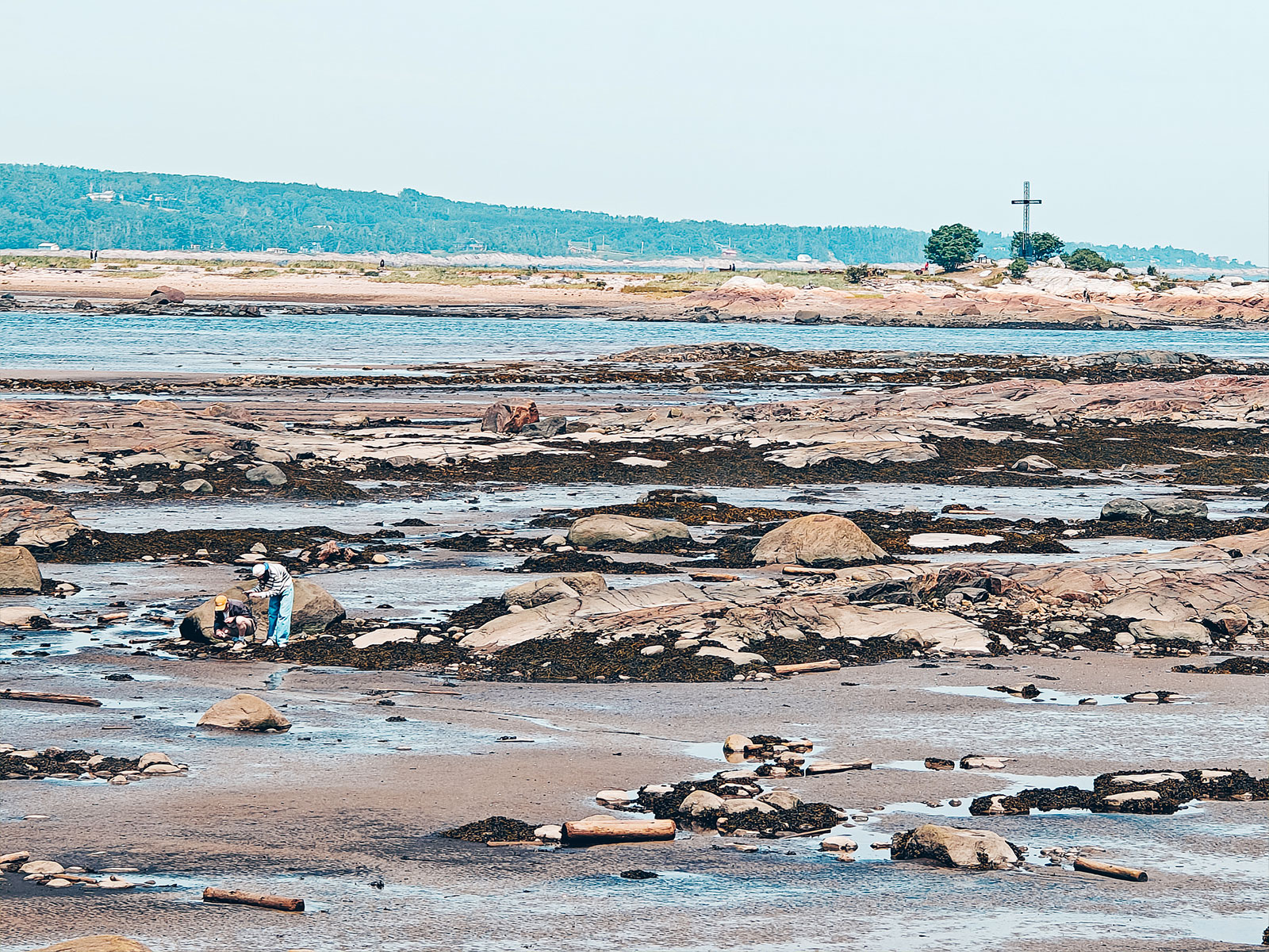 Fouiller l'estran à marée basse