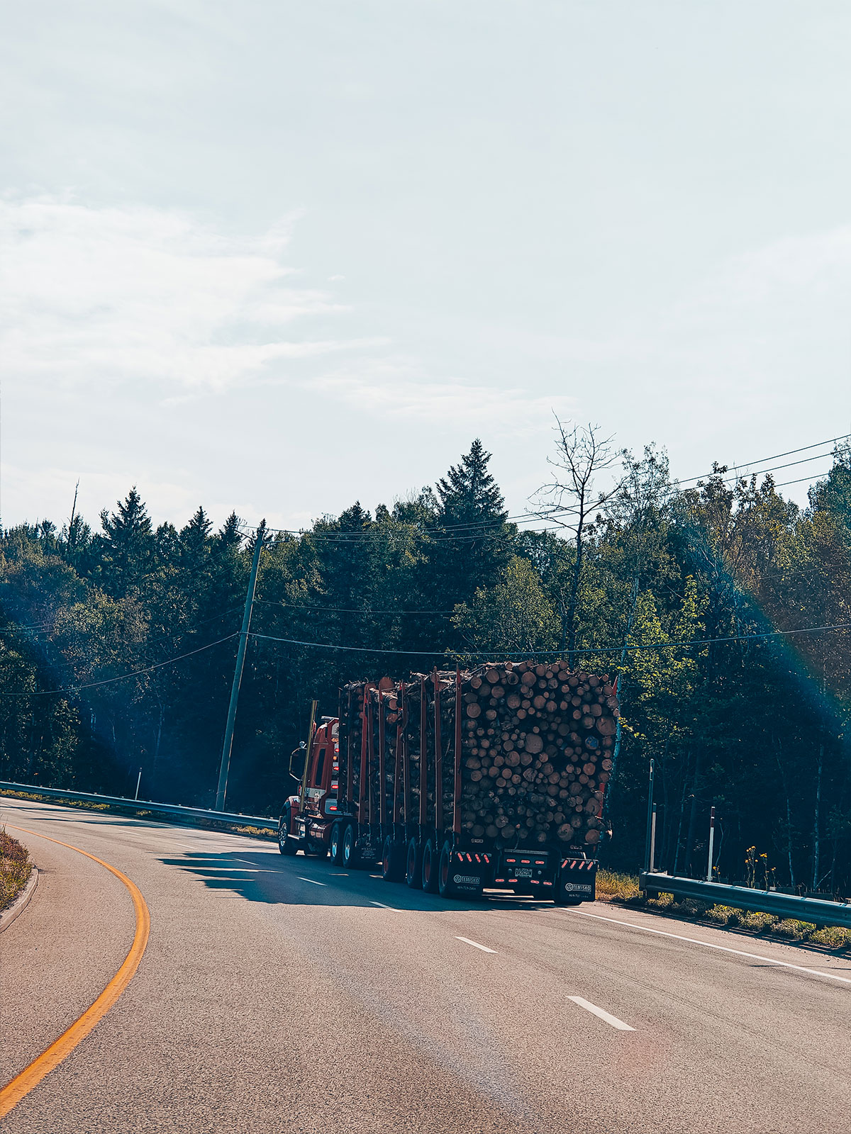 Camion semi-remorque forestier chargé de billots roulant sur une route bordée de forêt