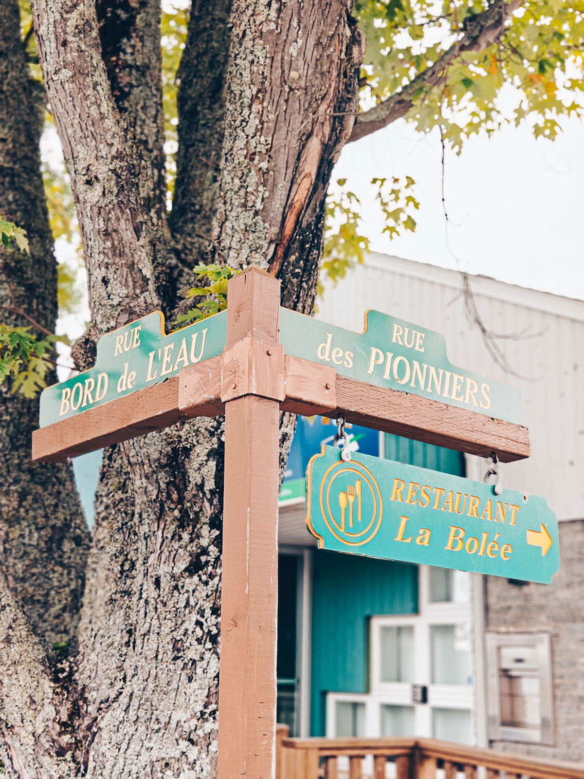 Des pancartes de rue en bois clouées sur un arbre