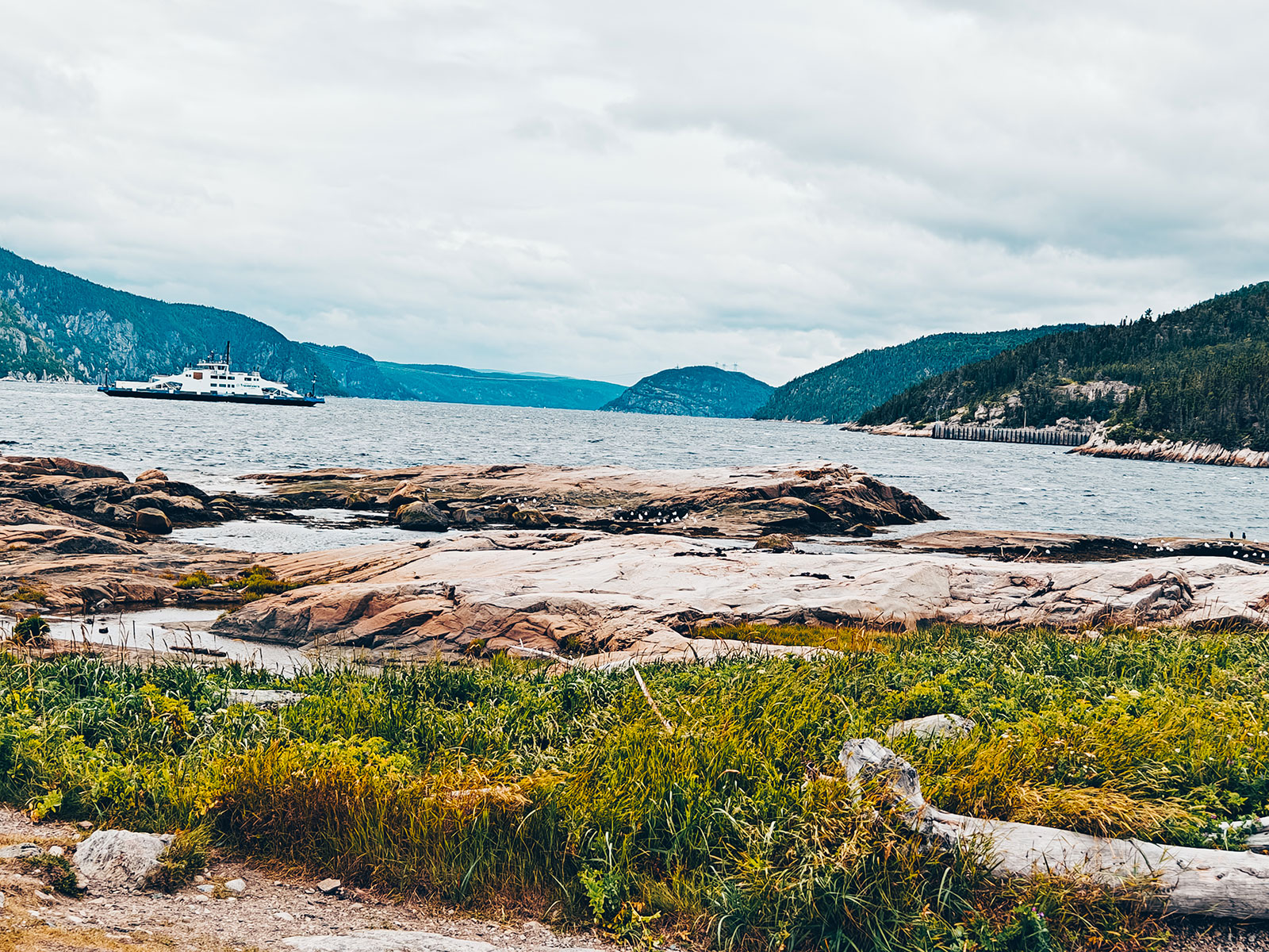 La côte rocheuse et les collines du fjord au loin
