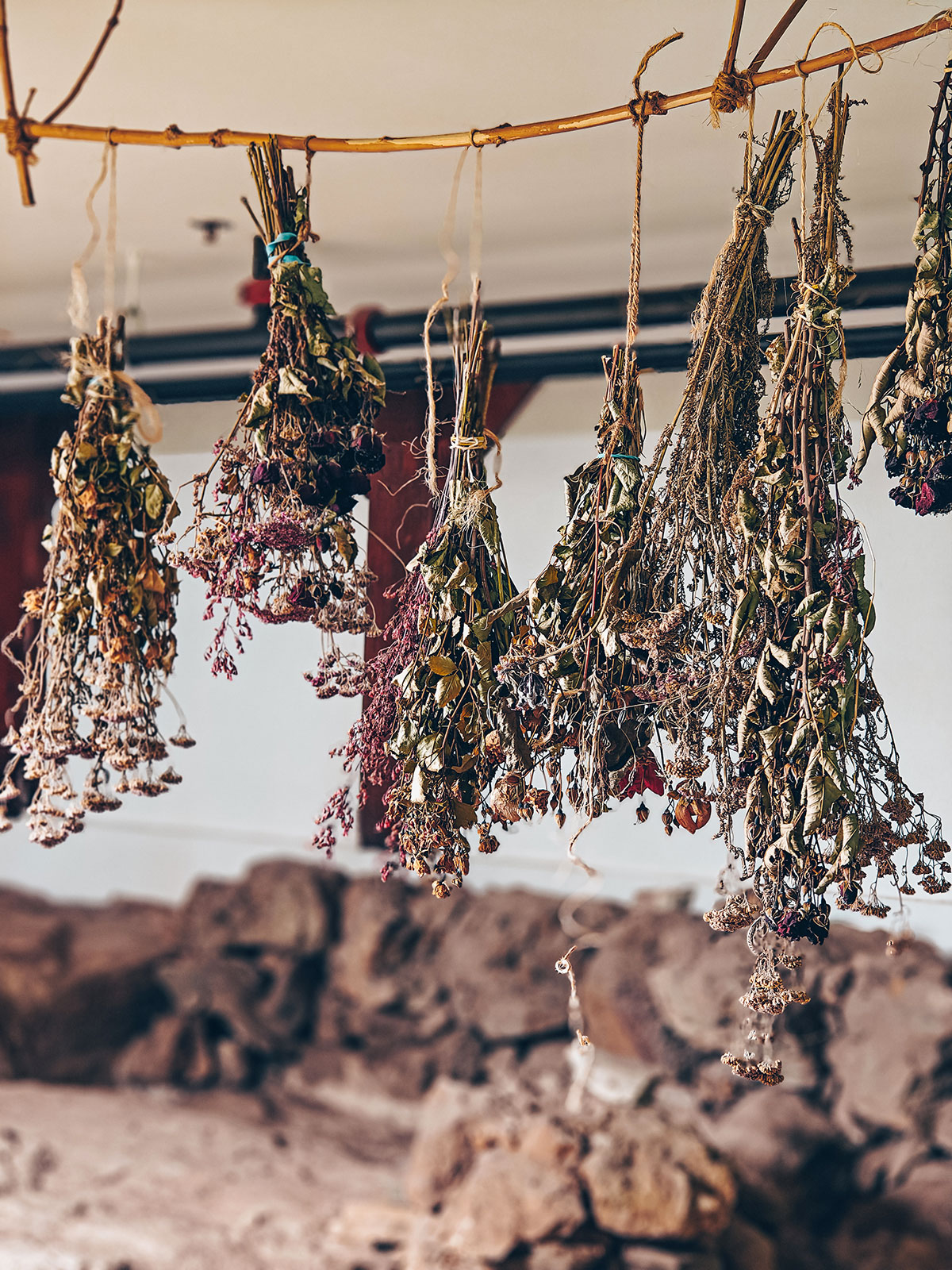 Des bouquets de plantes séchées suspendus à un plafond