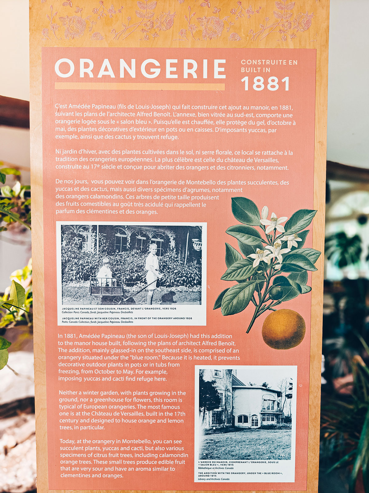 Le panneau « Orangerie · construite en 1881 », avec sa photo d’archives