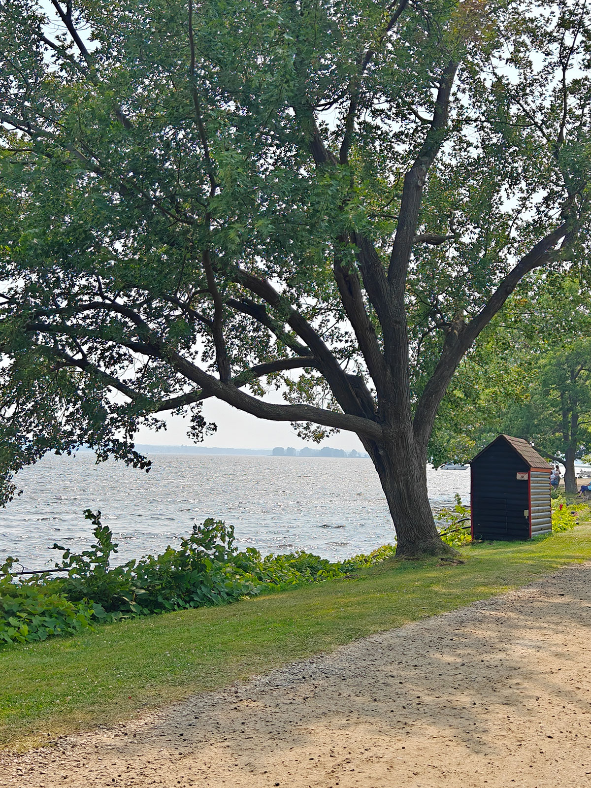 Un sentier au bord de l’eau, un petit cabanon et un grand arbre