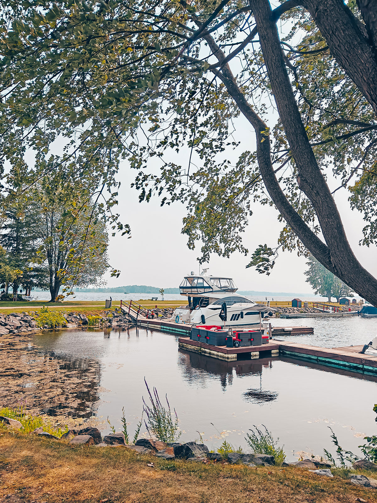 Les quais et un bateau amarré, encadrés par les branches