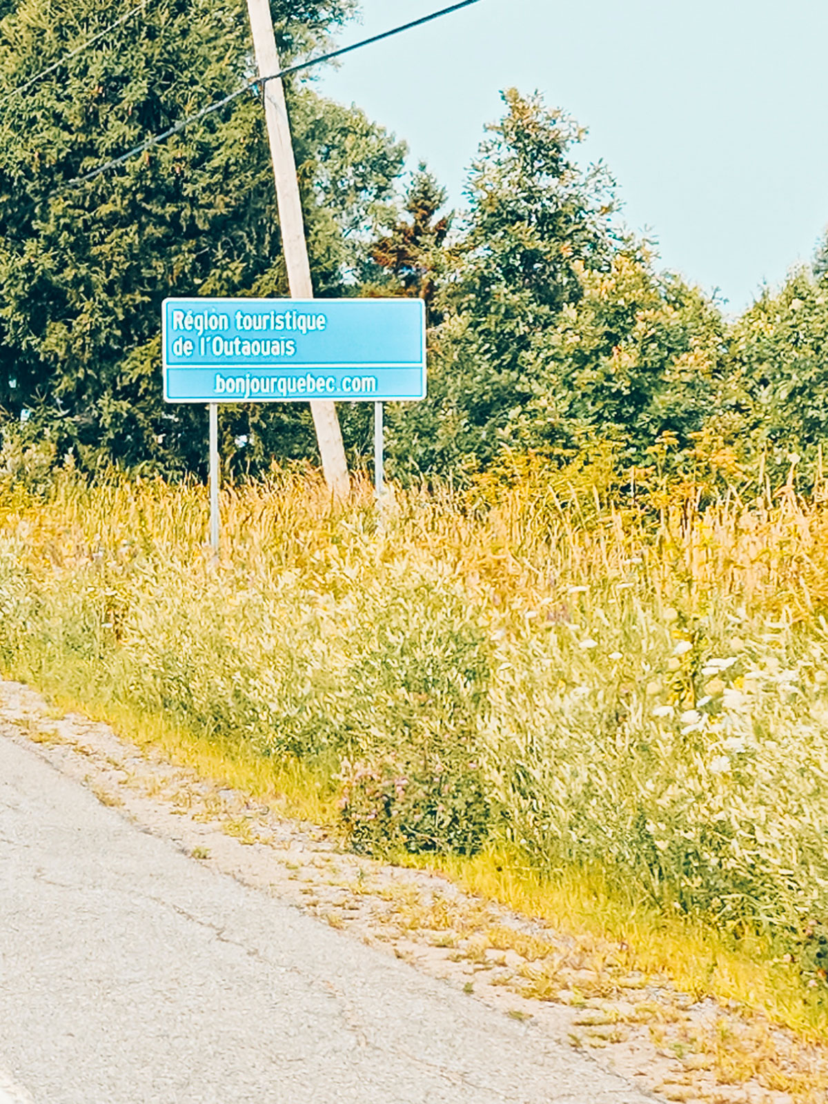 Un panneau touristique bleu au bord de la route, dans les fleurs sauvages