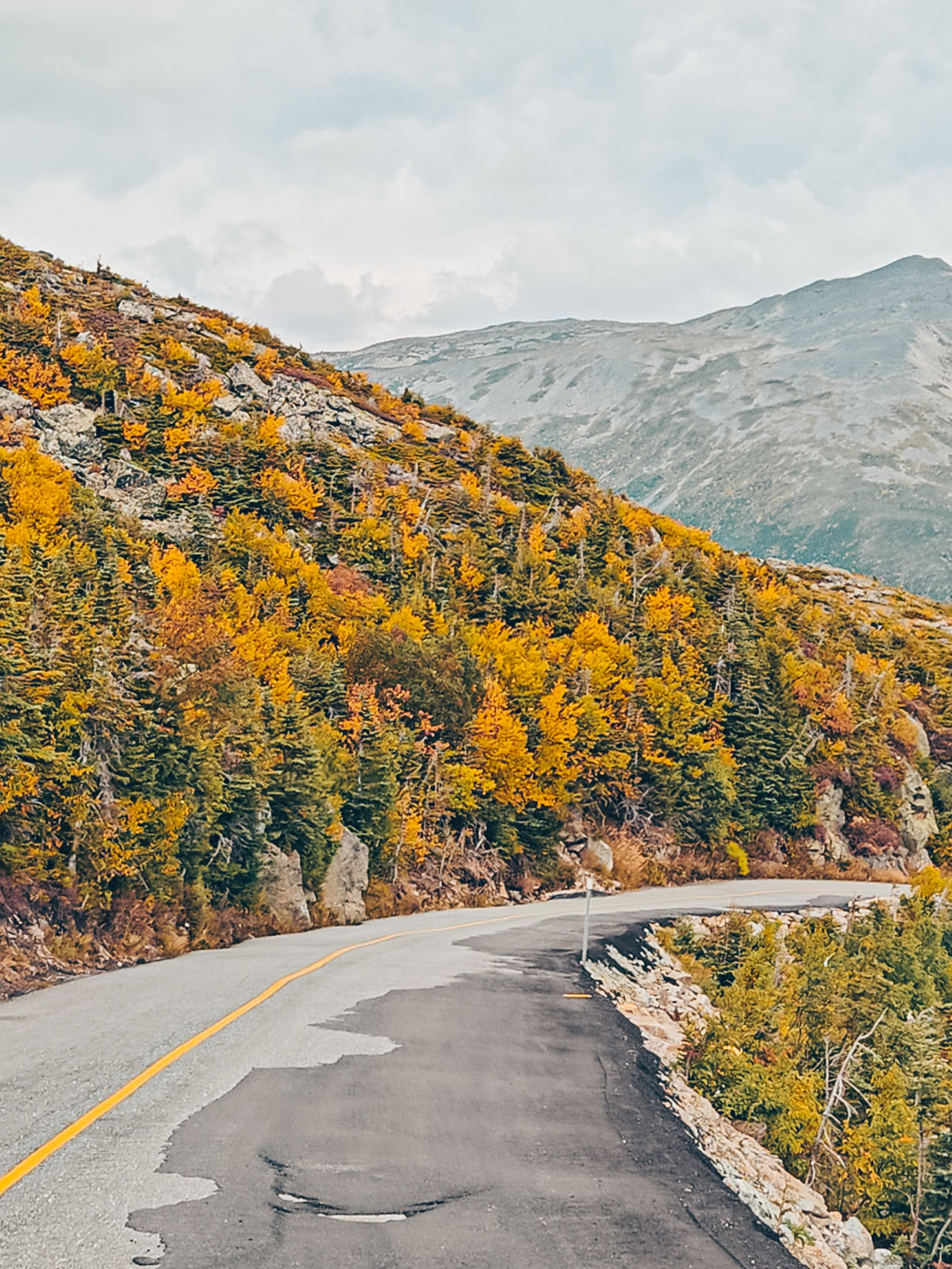 La route s'incurve le long d'un versant tout en or