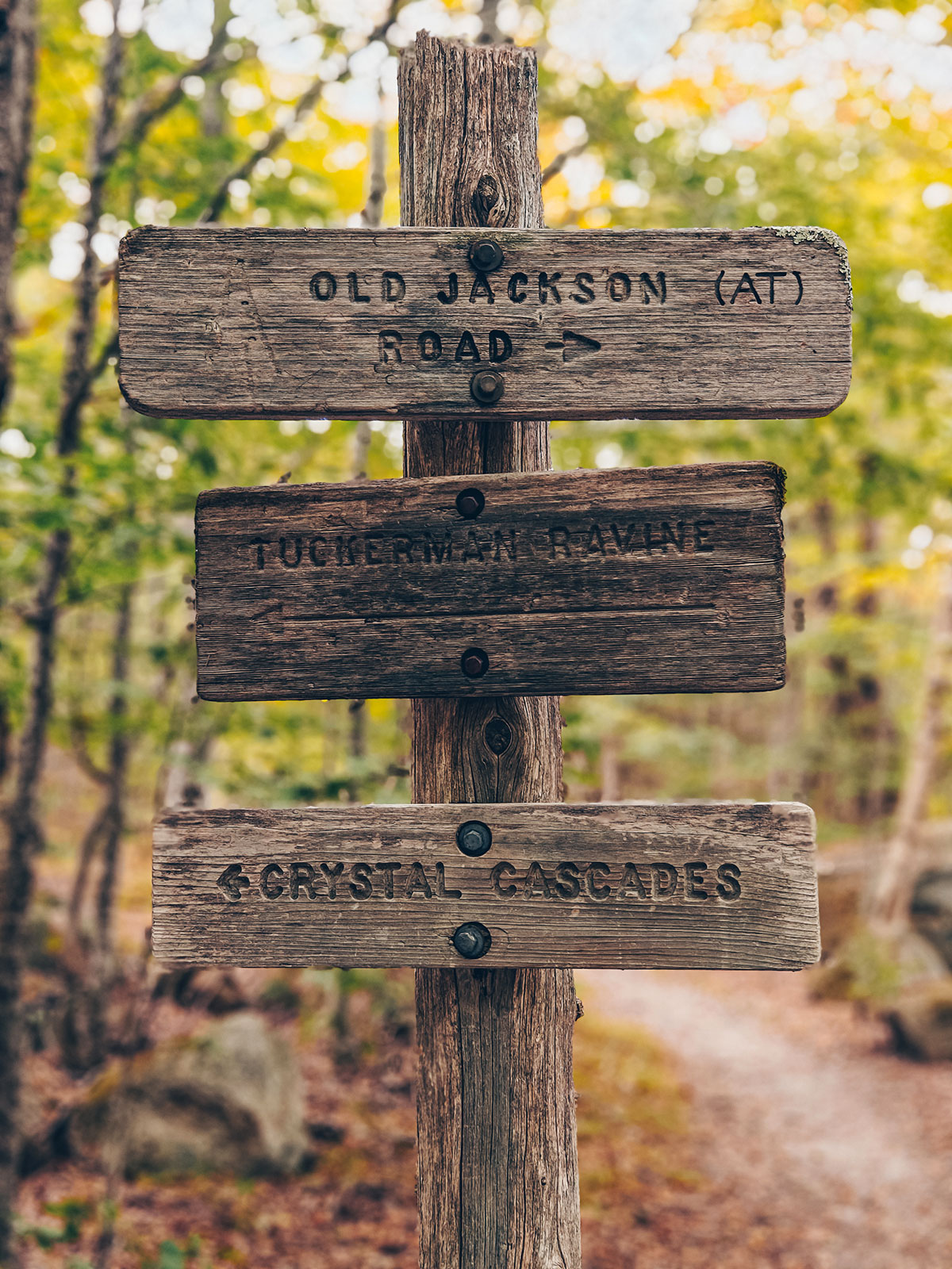 Un poteau indicateur de bois : Old Jackson Road, Tuckerman Ravine, Crystal Cascades
