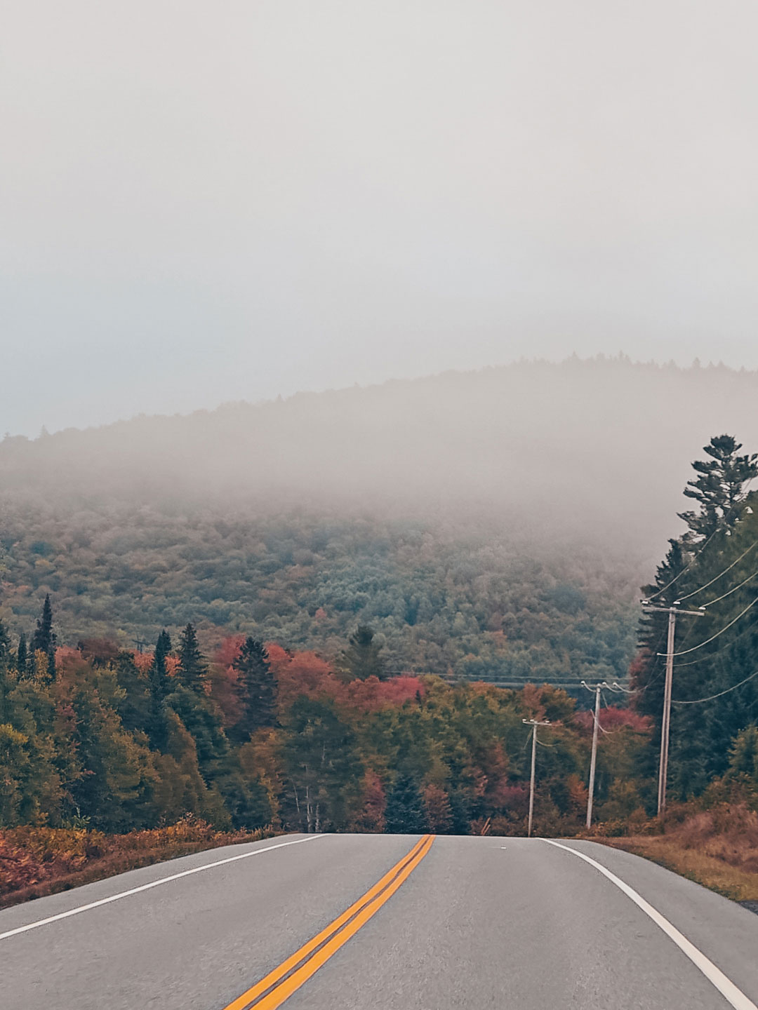 The Mount Washington road in autumn
