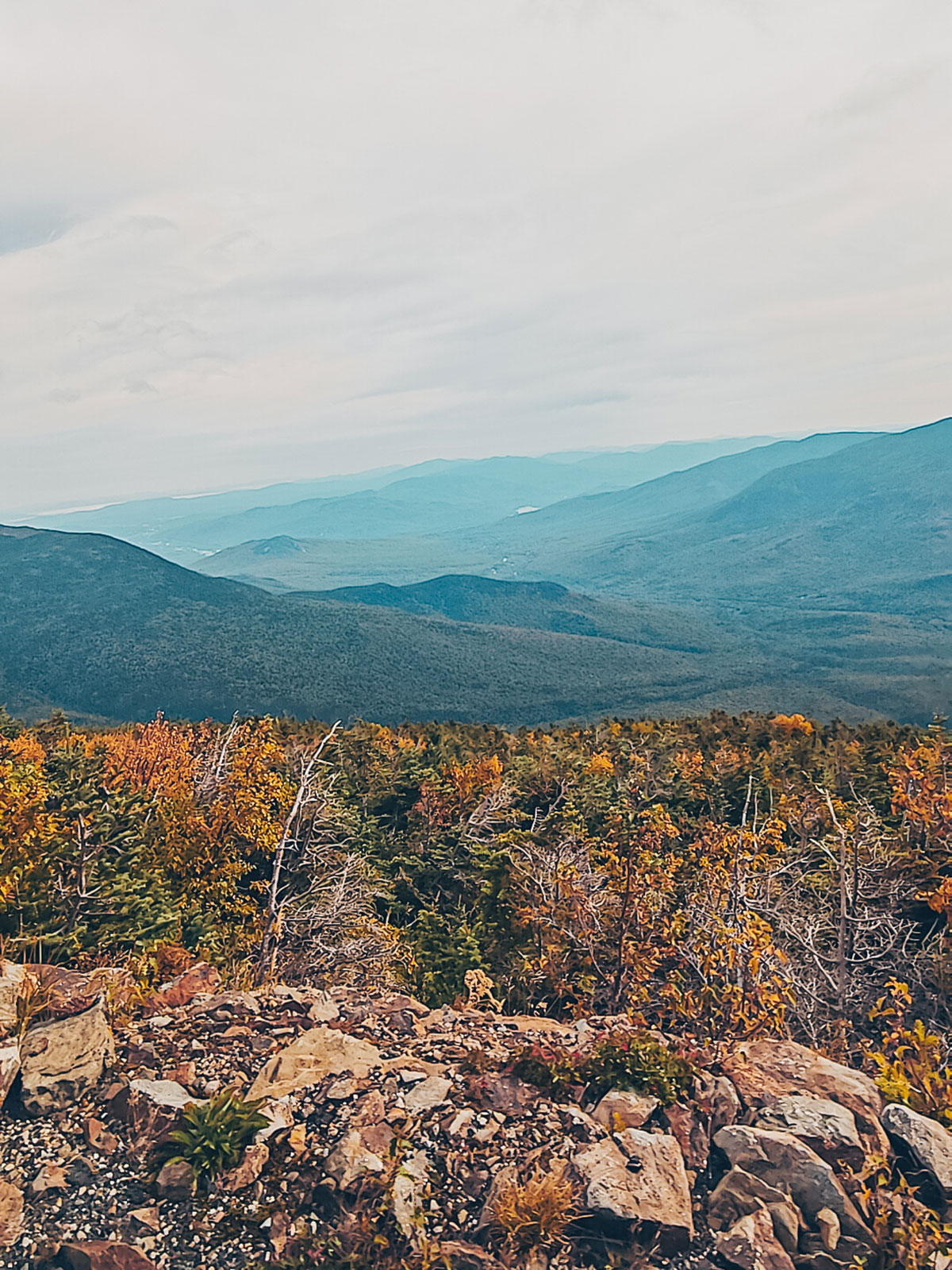 Les couleurs d'automne s'arrêtent net à la limite des arbres
