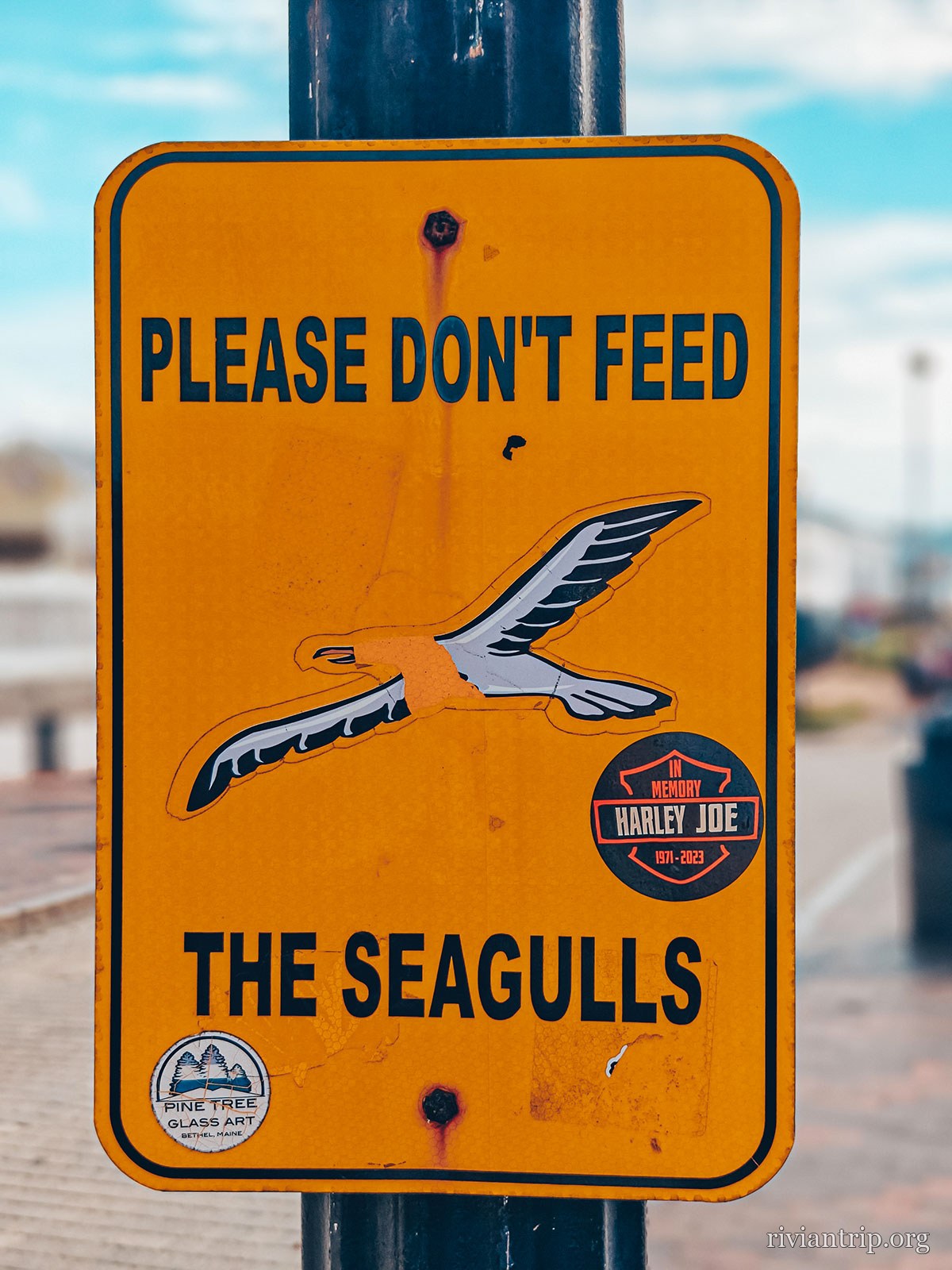 Un panneau orange : « Please don’t feed the seagulls »