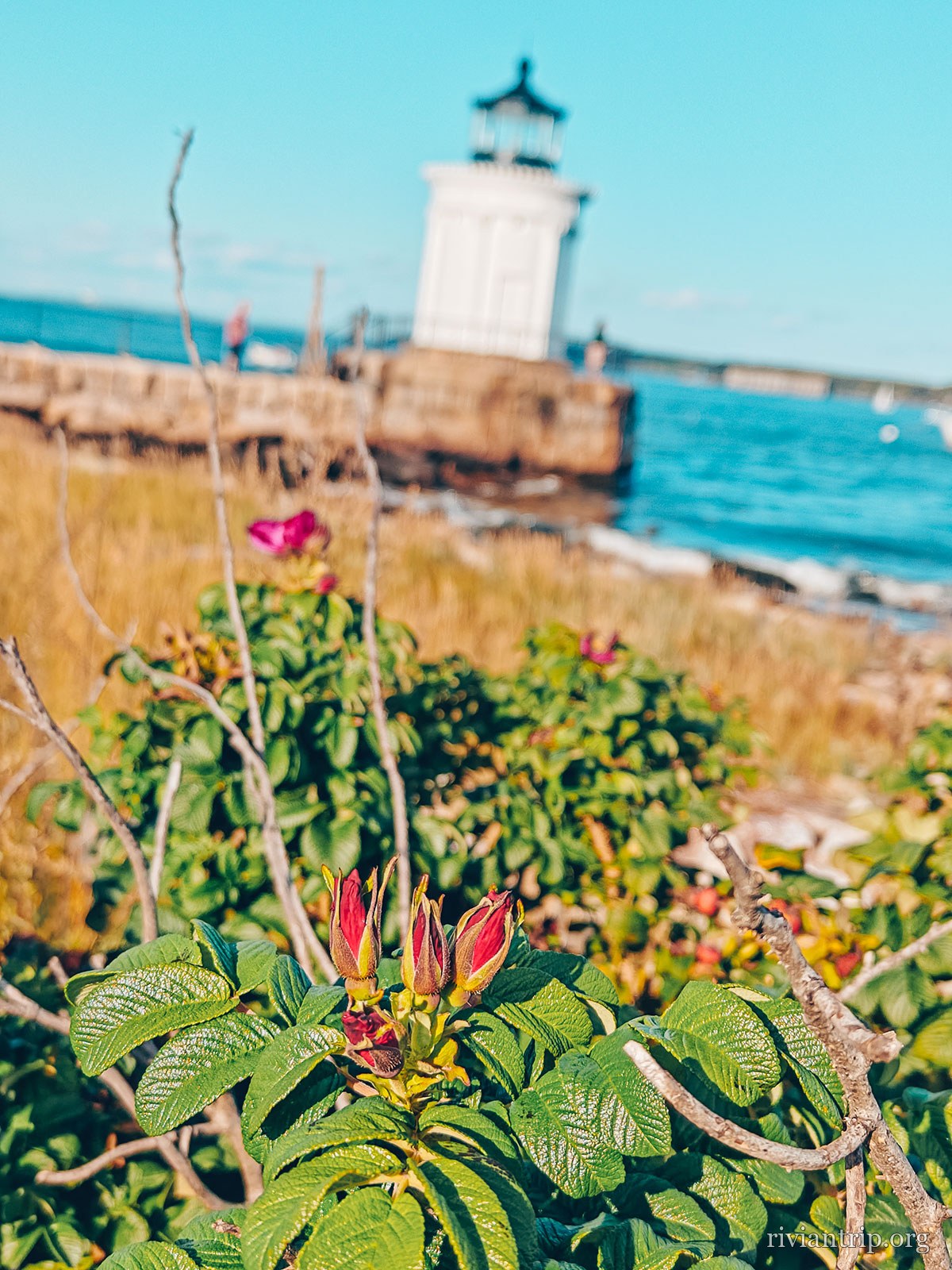 Bug Light, le petit phare du brise-lames de South Portland