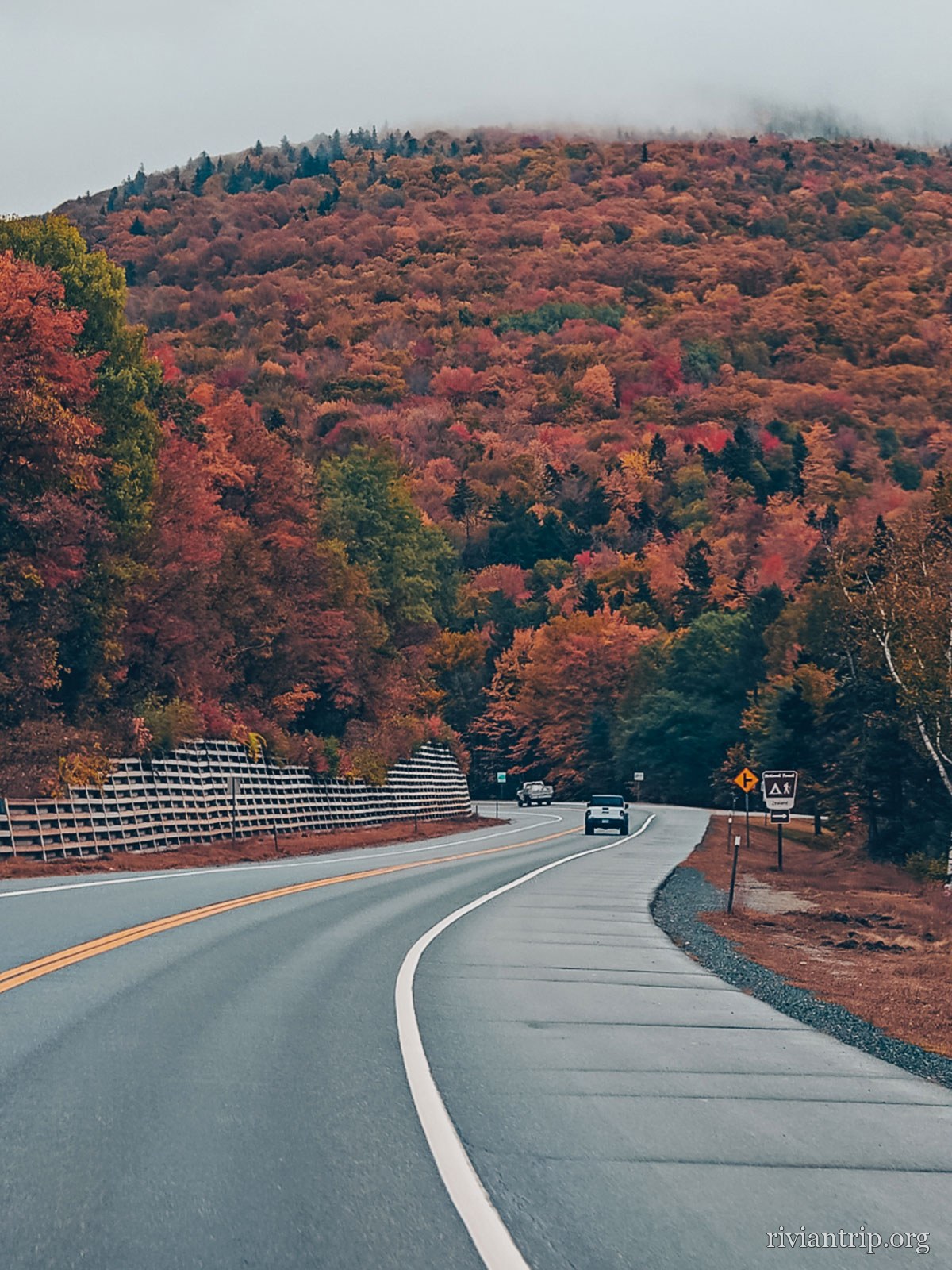Un virage de la route bordé d’érables rouges et orange
