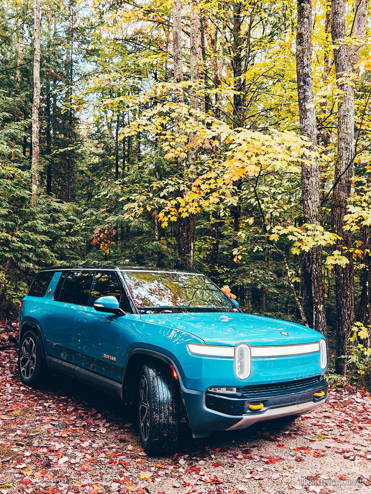 La Route 113 dans la forêt d’Evans Notch, entre le New Hampshire et le Maine