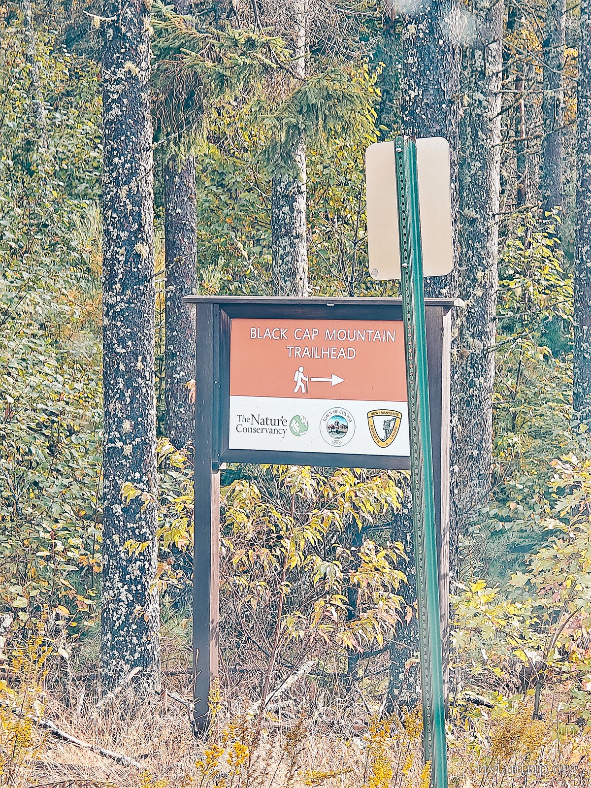 La Route 113 dans la forêt d’Evans Notch, entre le New Hampshire et le Maine