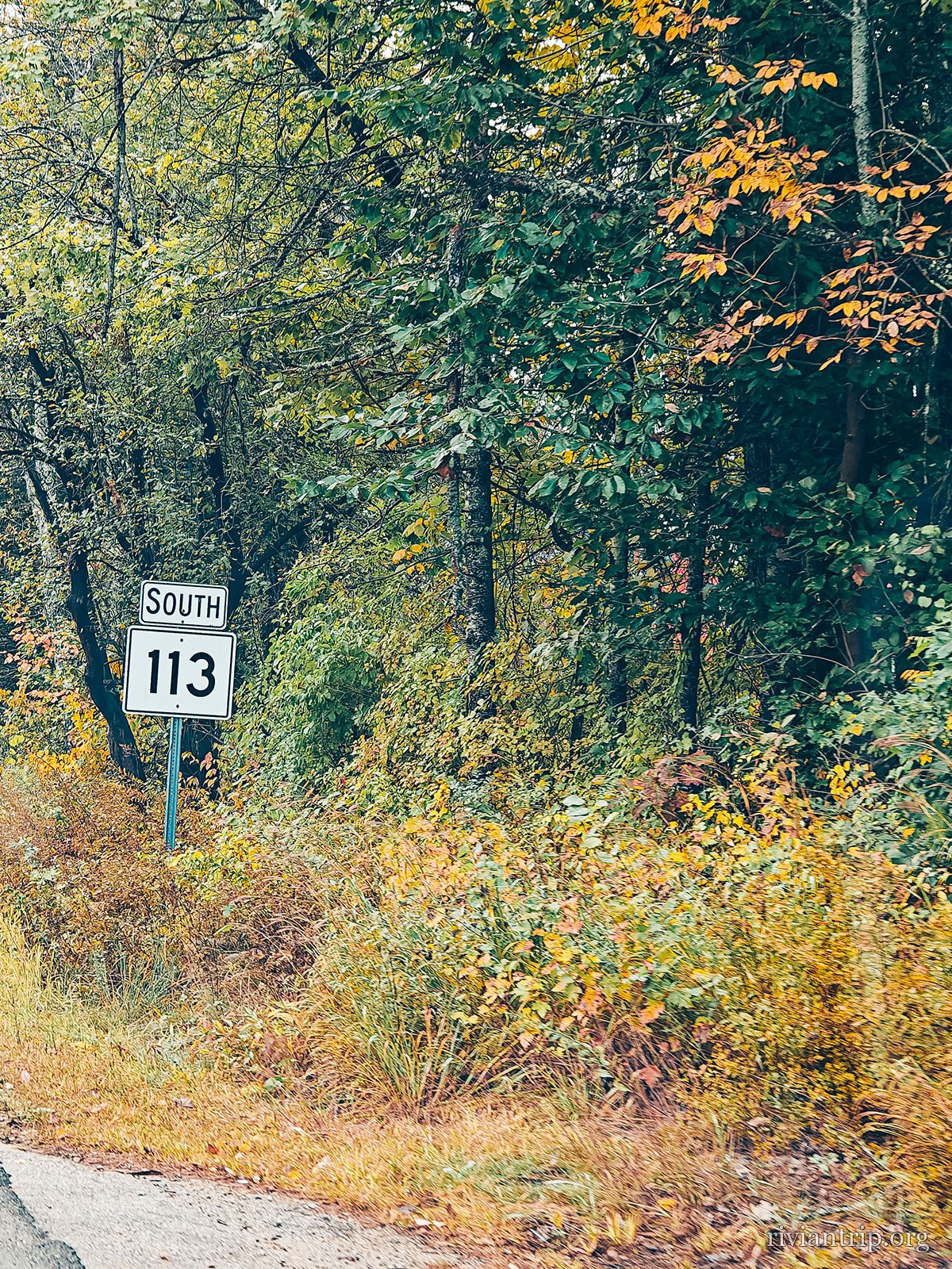 L’écusson de la Route 113 planté dans les feuillages