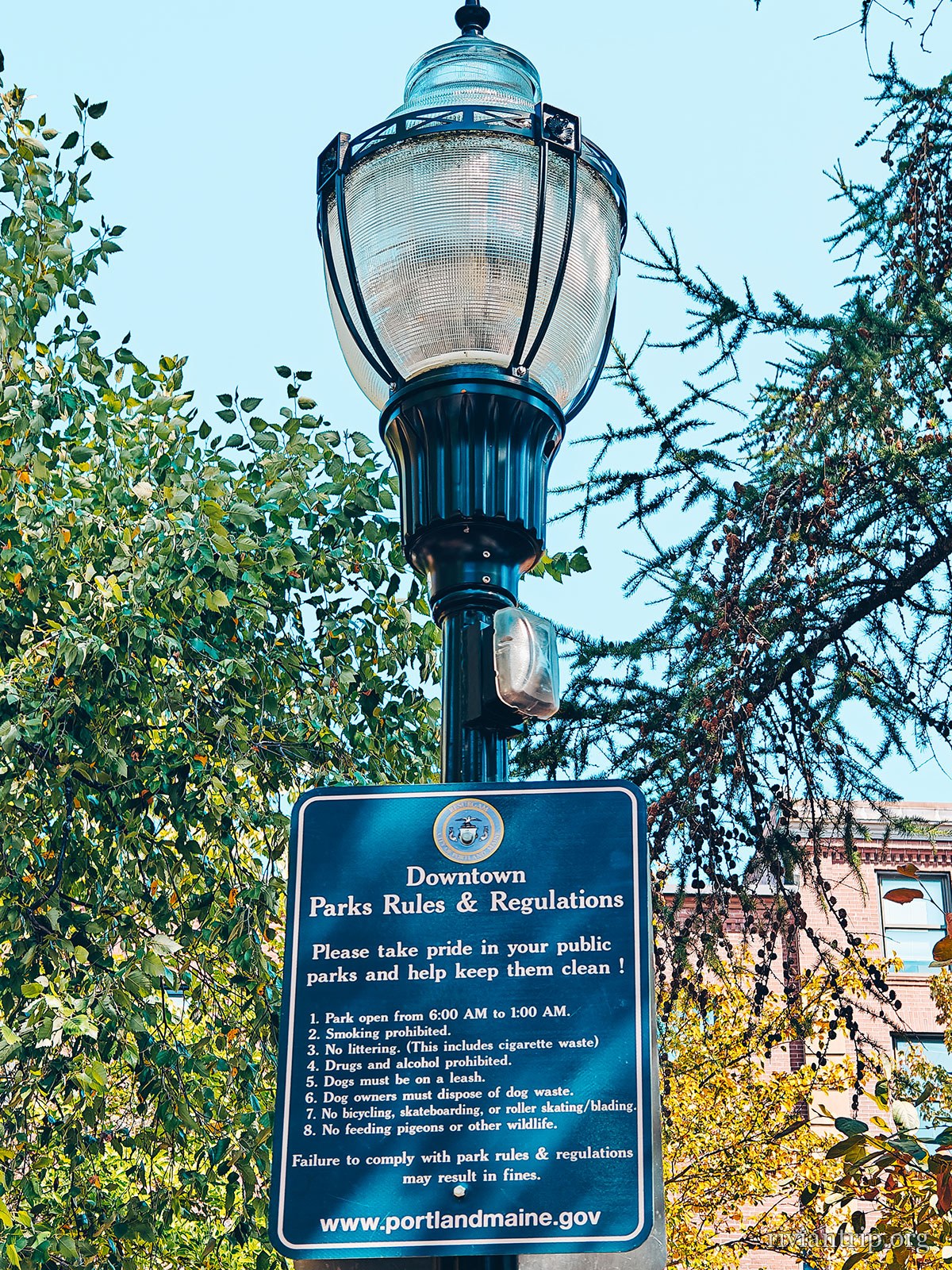 Une rue de Portland, dans la brique du Old Port