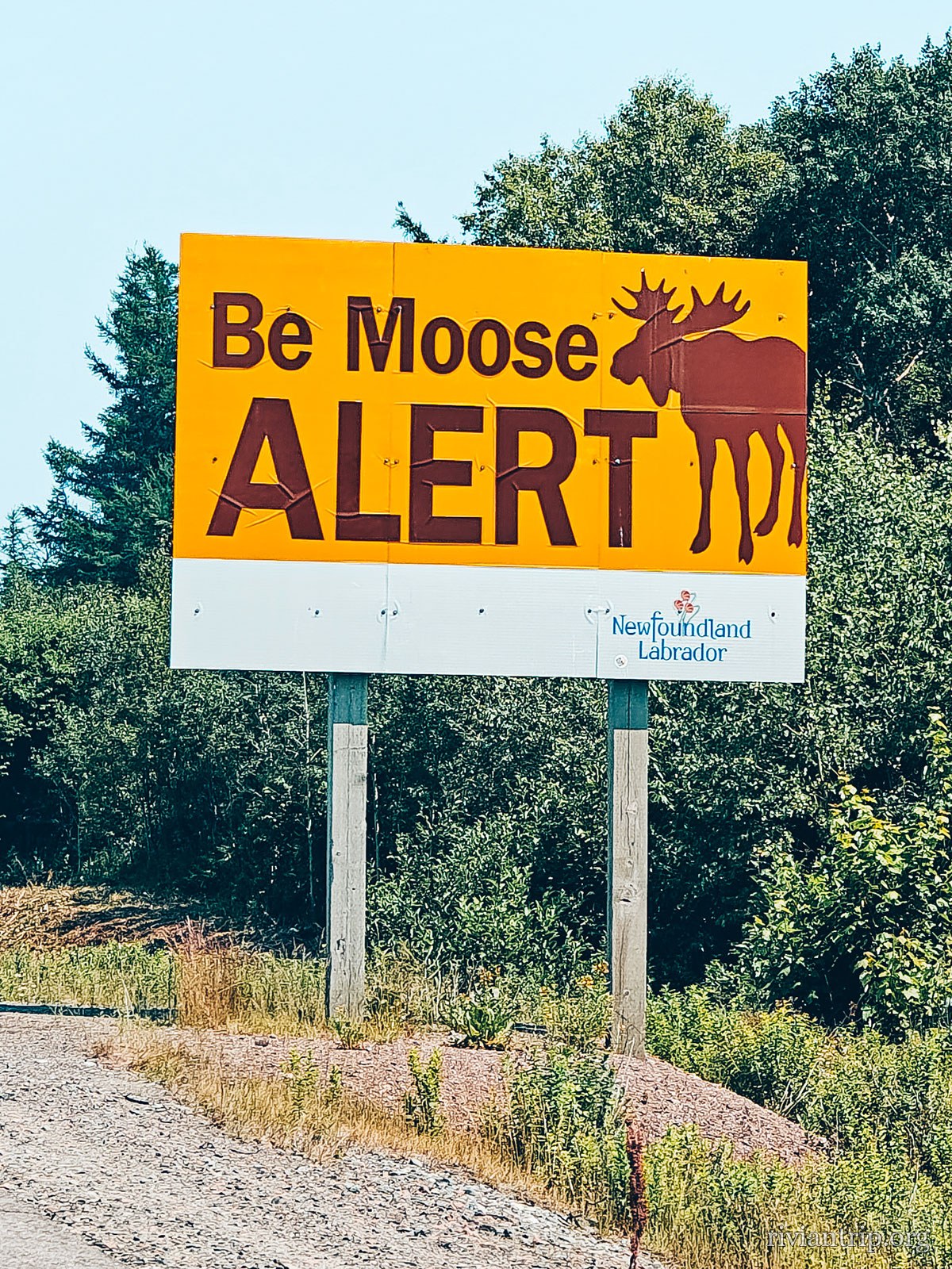 Panneaux routiers, Terre-Neuve-et-Labrador, Canada